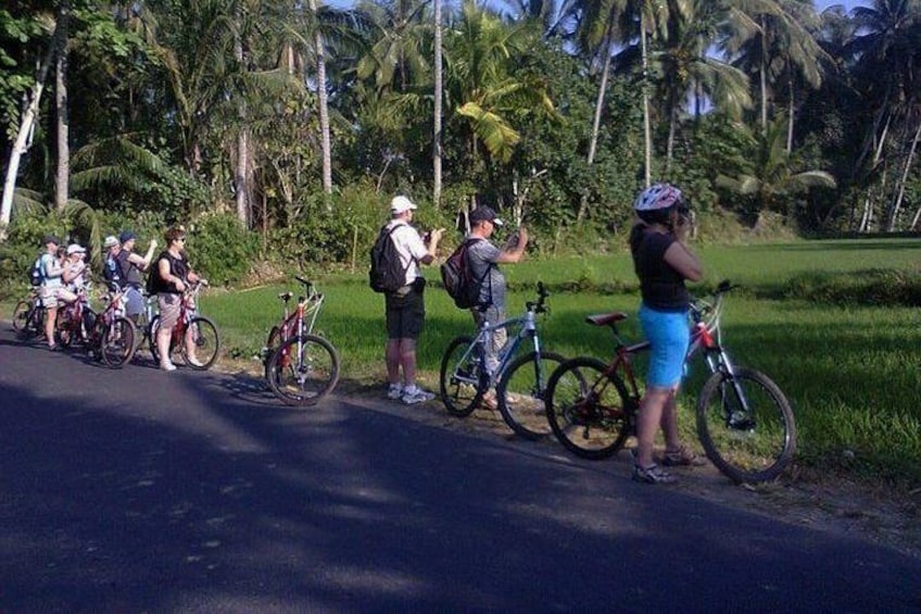 Lombok Cycling Tour: Tempos Rice Field, Hand Weaving Village & Pengsong Temple