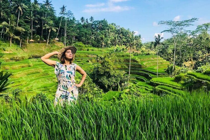 Best Of Ubud : Waterfall, Temple, Monkey Forest & Rice Terrace