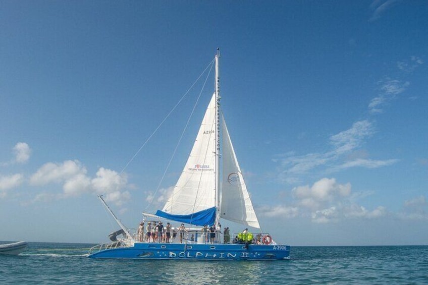 Dolphin Catamaran Snorkel and Sail with Open Bar