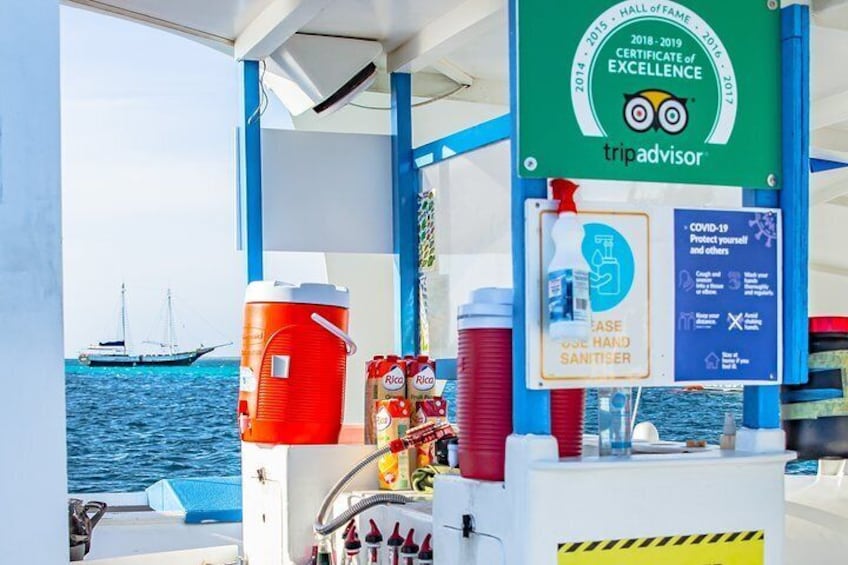 Catamaran Dolphin Sunset Cruise in Aruba