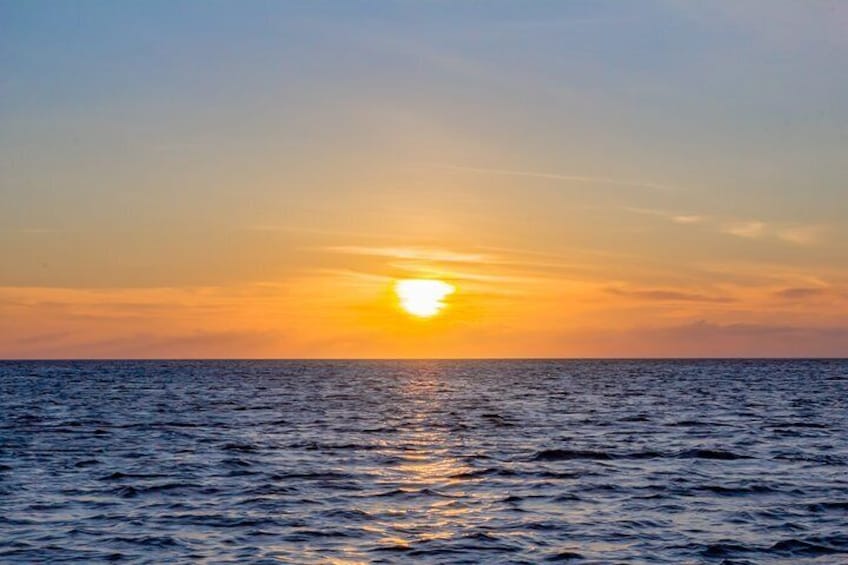 Catamaran Dolphin Sunset Cruise in Aruba