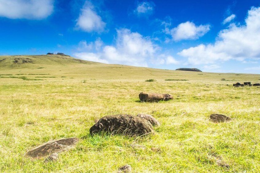 Northern slopes of Poīke. In the foreground, some fallen trachyte moai of Ahu Riki-Riki.