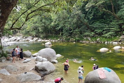 Mossman Gorge (Lower Daintree ex Cairns Shuttle)