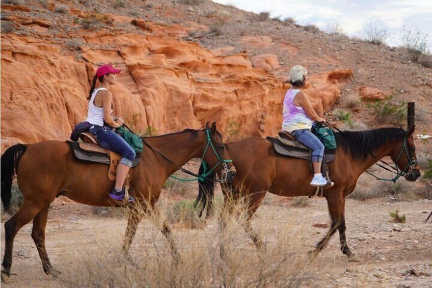 Evening Horseback Riding Tour