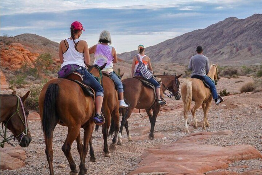 Evening Horseback Riding Tour