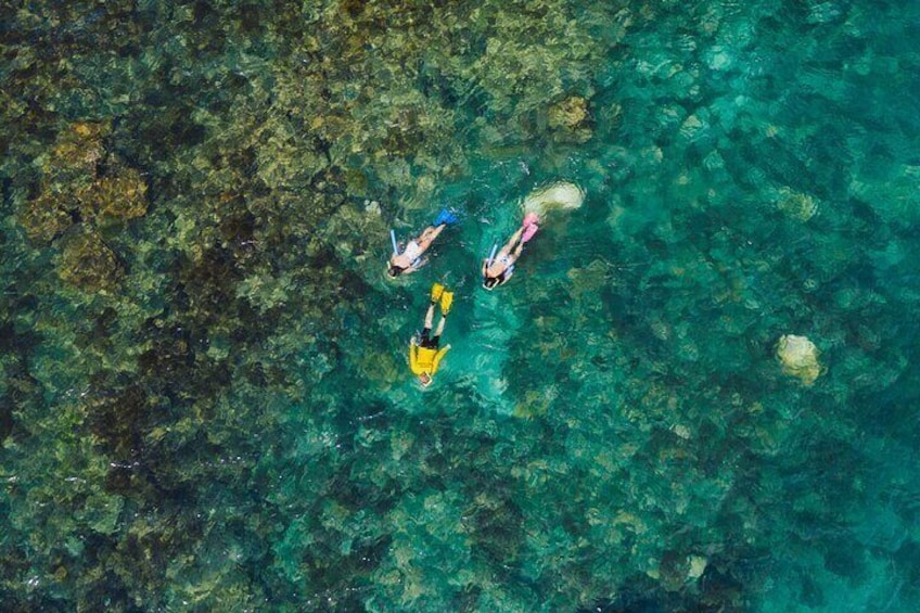 Snorkel the fringing reef