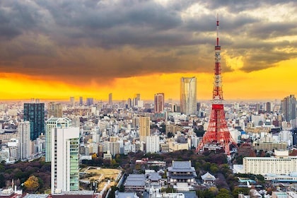 帶英語司機的東京私人觀光之旅