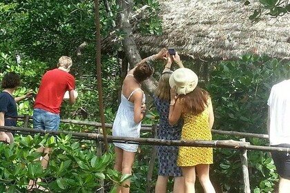 Cultural and Historical Tour in Malindi