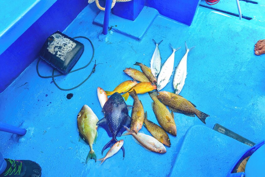 Prasert Seri Full Day Fishing Tour From Phuket