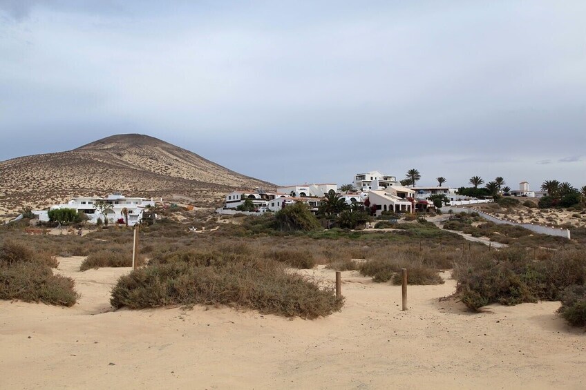 Guided tour to Fuerteventura