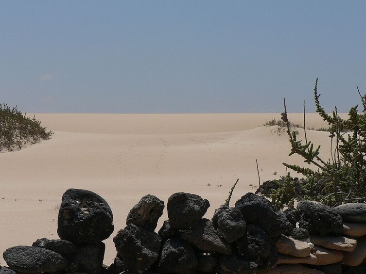 Guided tour to Fuerteventura