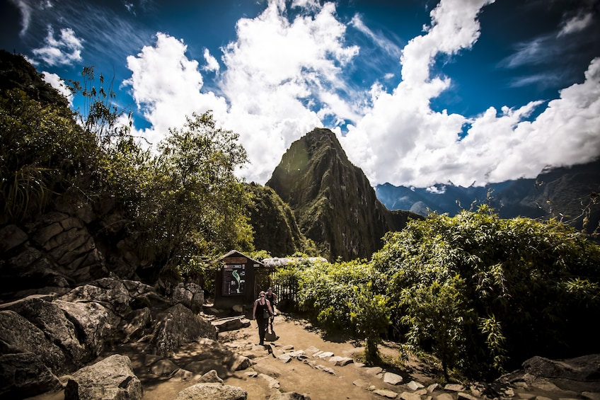 Machu Picchu: Full-Day tour from Cusco with Optional Lunch