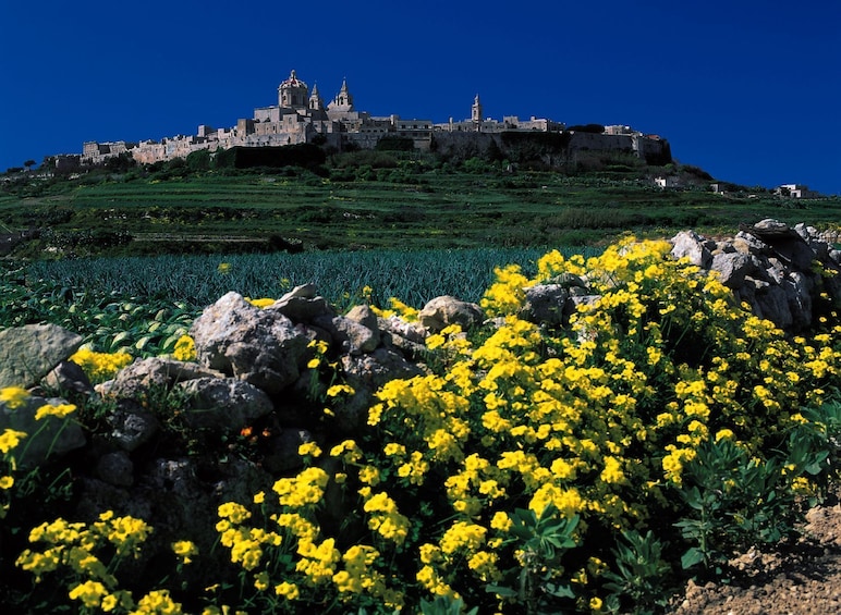 Show item 1 of 8. Mdina, Rabat, Dingli, San Anton, Ta'Qali & Mosta guided tour