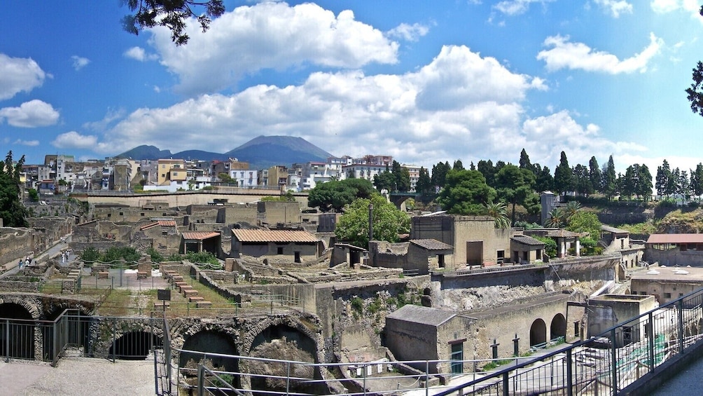 Private Herculaneum Tour from Naples