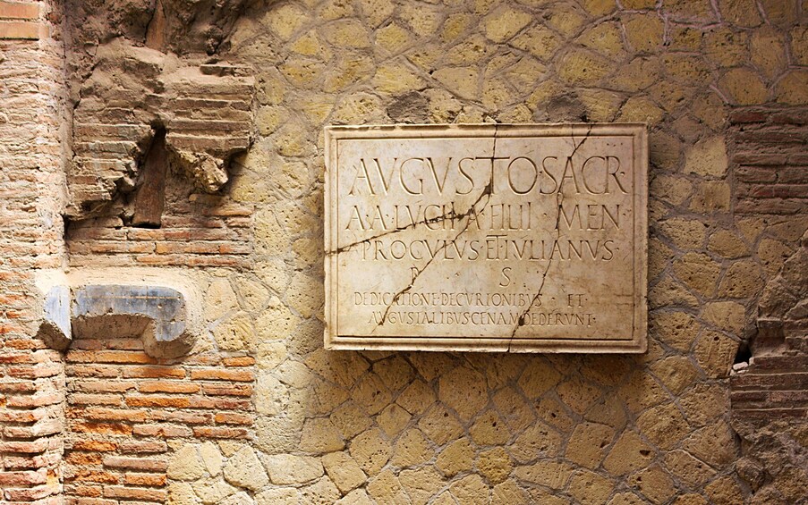 Private Herculaneum Tour from Naples