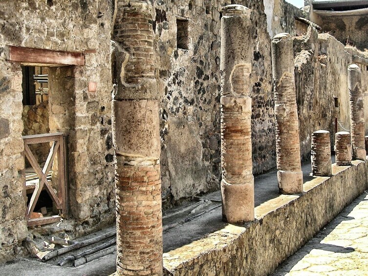 Private Herculaneum Tour from Naples