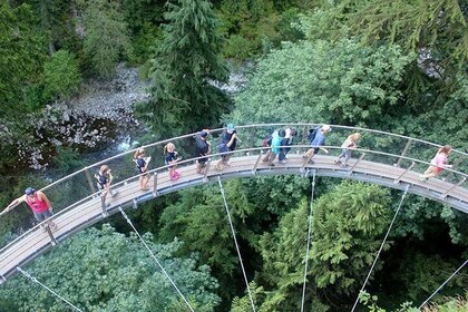 Vancouver, Capilano Suspension & Grouse Mountain Private Tour