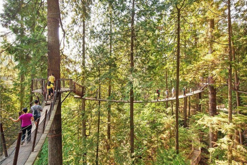 Capilano Bridge park
