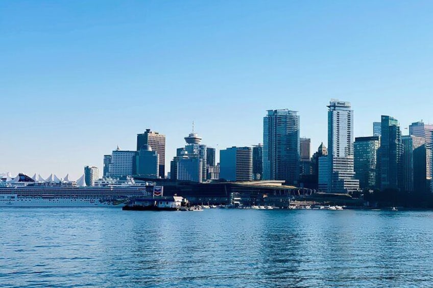 Vancouver, Capilano Suspension & Grouse Mountain Private Tour