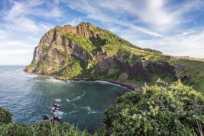 Jeju: Fully Customisable Private Tour