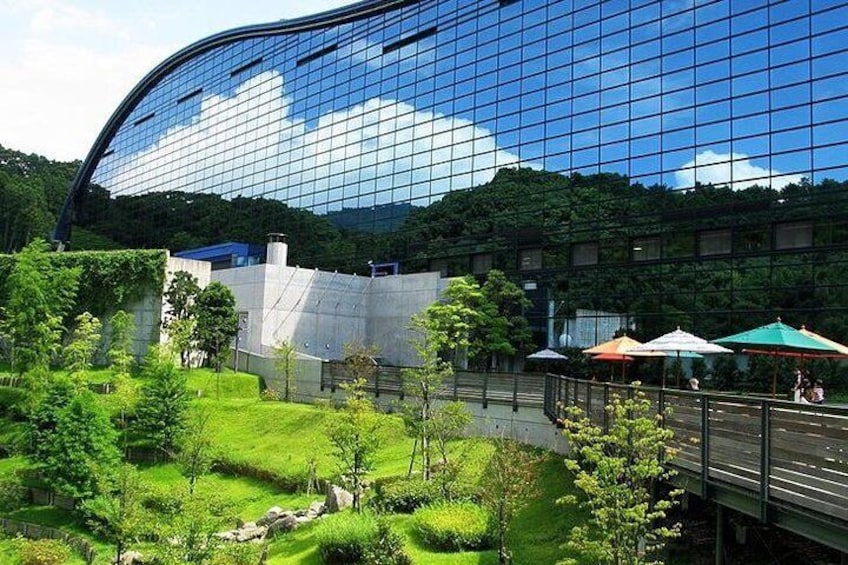 Fukuoka Full-Day Private Tour with Government Licensed Guide
