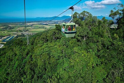 Visite de Kuranda via Skyrail et Kuranda Scenic Rail - visite en petit grou...