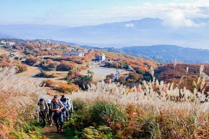 5 Nights Shine-Etsu Trail Hike - Nozawa Onsen | Japan
