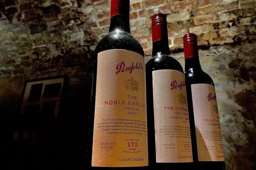 The Ultimate Penfolds Magill Estate Wine & Underground Cellar Tour
