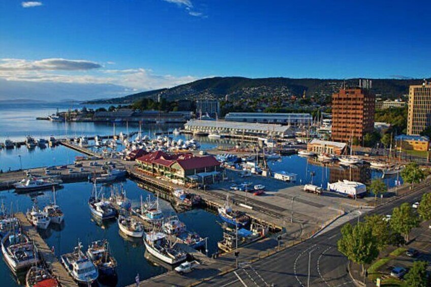 Hobart Shore Excursion: Small Group Mount Wellington 3-Hour Bike Tour