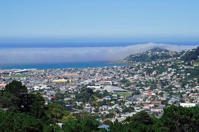 View From Mount Wellington