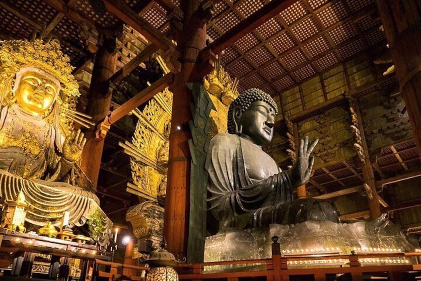 Nara Full-Day Private Tour Osaka/Kyoto departure with Nationally-Licensed Guide