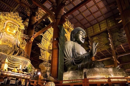 奈良全日私人旅游 - 京都出发与持证导游