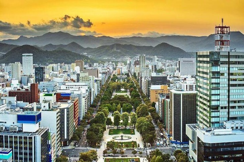 Sapporo 4hr Private Tour with Government Licensed Guide