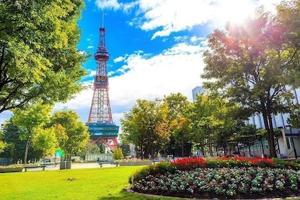 Sapporo Half-Day Private Tour with Government Licensed Guide
