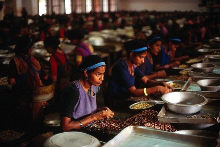 Cashew factory in Mangalore