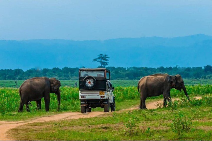 Jeep Tour 