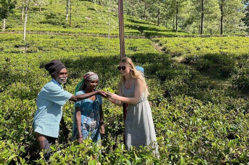 Day tour to Nuware Eliya (Littel England) From Kandy