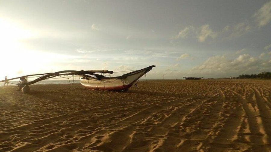 Negombo Day Tour