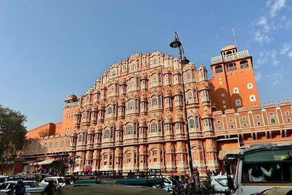 Jaipur City Private Day Tour from Delhi by Car - All-inclusive