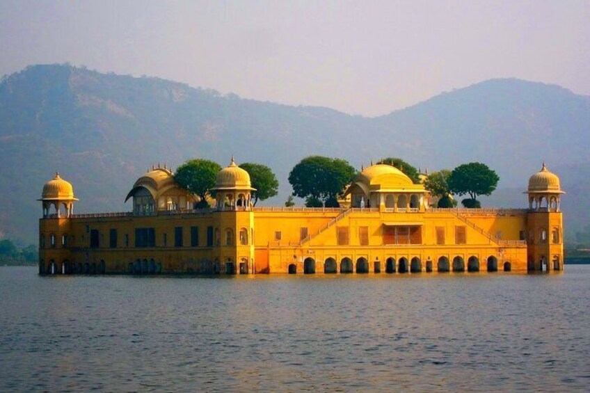 8 Day Golden Triangle Tour with Ranthambore{Taj,Tigers & More}