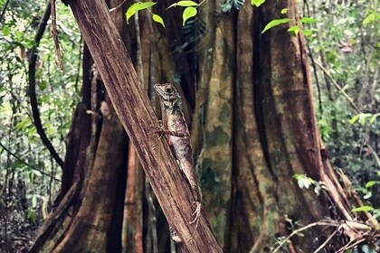 Wild Wonders Of Sri Lanka | 7 Days