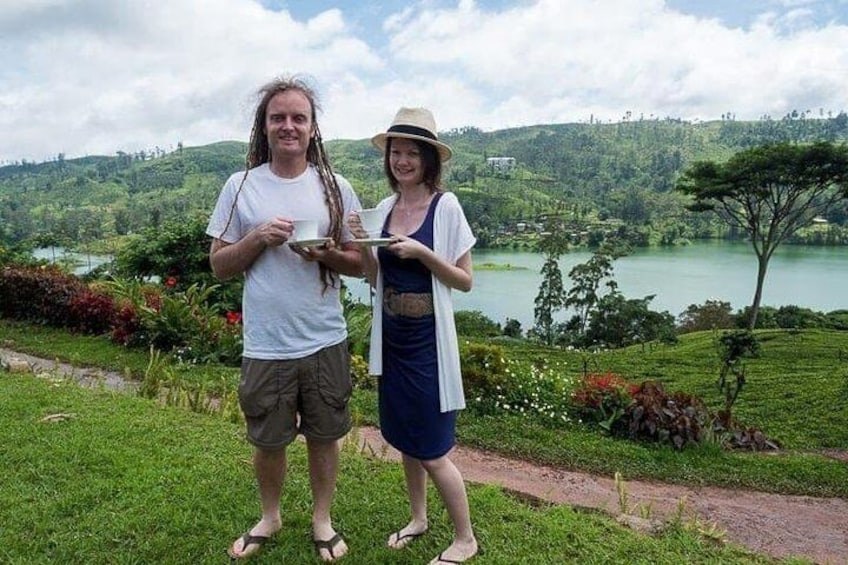 Tea Plucking & Tea Factory Tour