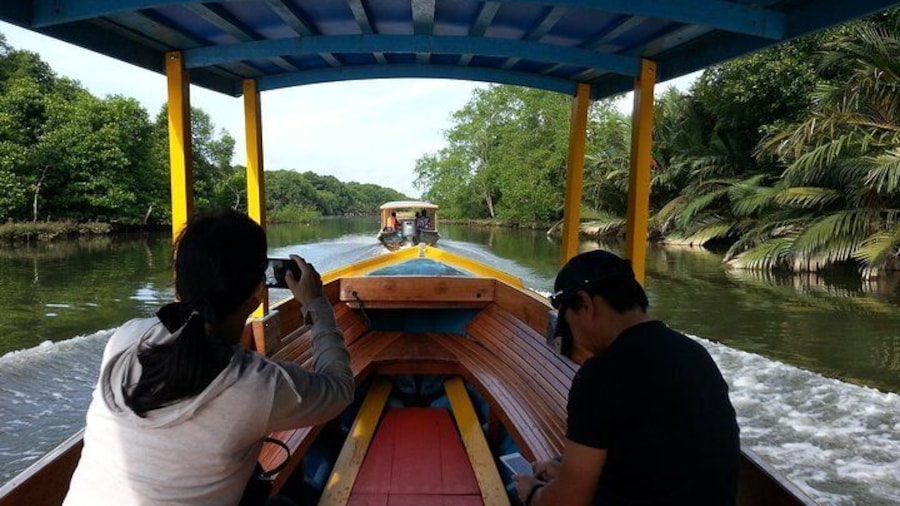 Private Proboscis Monkey Tour