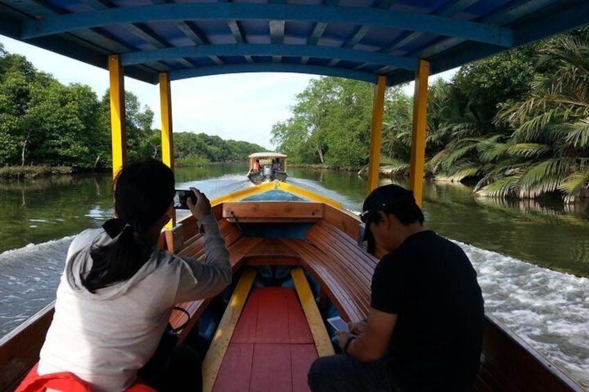 Mangrove River Safari 
