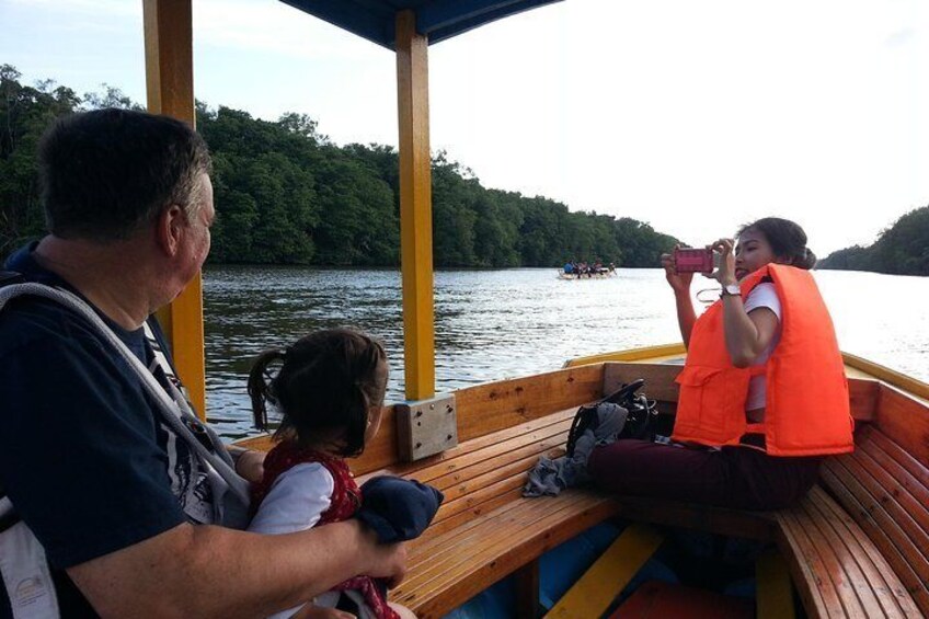 Mangrove River Safari