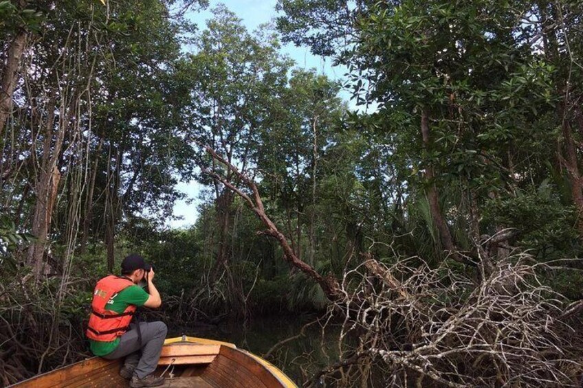 Mangrove and Kampong Ayer Tour