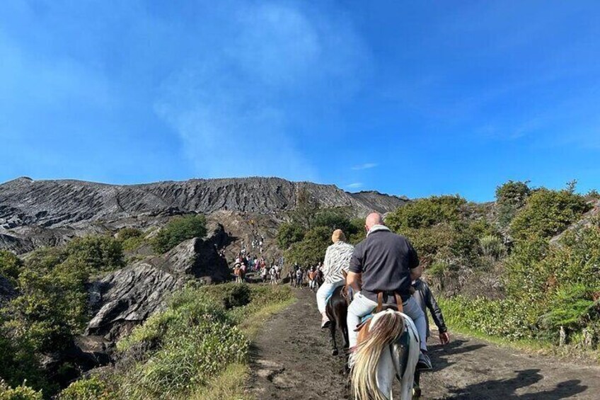 Riding horse through Sea of Sand