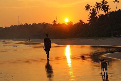 03 Days Beach Holidays in Sri Lanka with Kingfisher