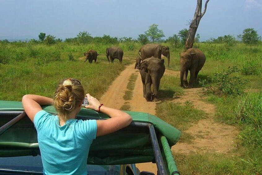 2 Days Tour to Galle & Udawalawe National Park