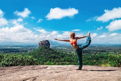Private Day Tour Sigiriya Rock and Dambulla Cave Temple Tour